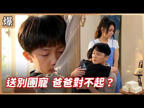 《八點檔搶先爆》豆腐媽媽 EP105 送別團寵 爸爸對不起？ thumbnail