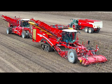 Potato Harvest 2023 | Grimme Varitron 470 TT Gen3  4-row self-propelled harvester #PotatoCam thumbnail
