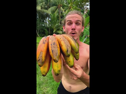 Multi-Coloured Bananas thumbnail