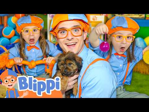 Blippi Learns to Care for Puppies! ? thumbnail
