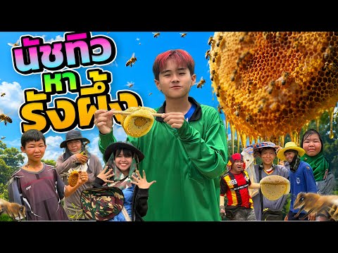 นัชทิวหารังผึ้ง ได้รังใหญ่เท่ามด!! thumbnail