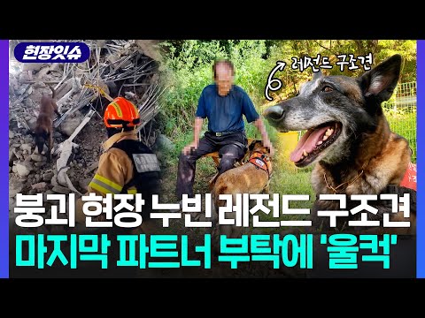 [현장잇슈] 붕괴 현장 누빈 구조견계 '레전드'…파트너 마지막 부탁에 '울컥' / 연합뉴스TV (YonhapnewsTV) thumbnail