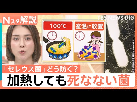 “チャーハン症候群”にご注意！ においや味で見分け困難…熱に強い食中毒菌 対策は？【Nスタ解説】｜TBS NEWS DIG thumbnail