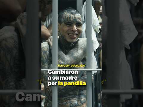 Cambiaron a su madre por la pandilla. @KrystianVazquez thumbnail