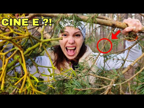 Marioara a devenit Poliția Copacilor… și m-a atacat 😳😂 thumbnail