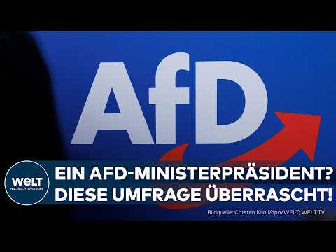 AFD: Auf dem Weg zur Macht? Verblüffende INSA-Umfrage vor den Landtagswahlen: AfD Ministerpräsident? thumbnail