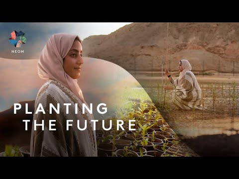 NEOM | Planting Mangroves for Tomorrow thumbnail