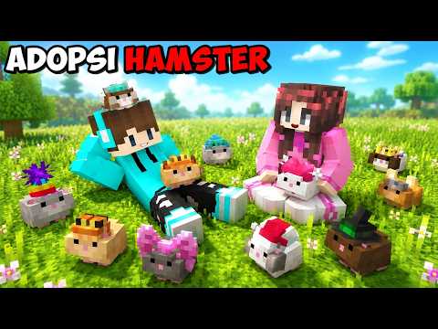 KITA ADOPSI HAMSTER IMPOR PREMIUM SUPER GEMOY ???? thumbnail