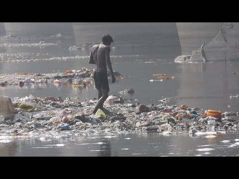 A young boy searching through toxic foam on the Yamuna River banks thumbnail