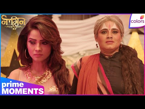 Naagin S2 | Highlights | Ep. 14 | Wrong Target! Scorpions Attack Ruchika Instead | Colors TV thumbnail