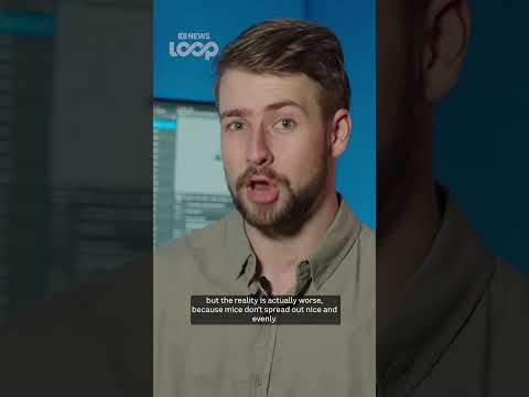 How many mice does it take to make a plague? | ABC NEWS Loop thumbnail