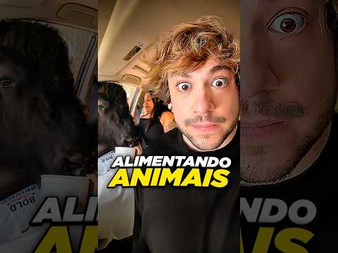 alimentando os animais @luizataguini #livedobrino #humor #MundinhoBrino thumbnail