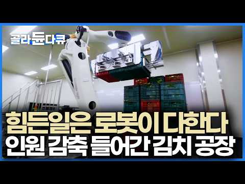 사람은 사라지고 로봇이 들어왔다. 다양한 김치 만들어 세계로 수출하는 공장 찾아가 봤더니｜극한직업｜#골라듄다큐 thumbnail
