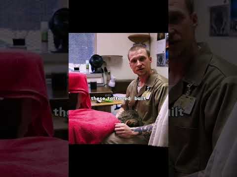 In jail, some prisoners are allowed to have cats as pets for comfort and companionship. thumbnail