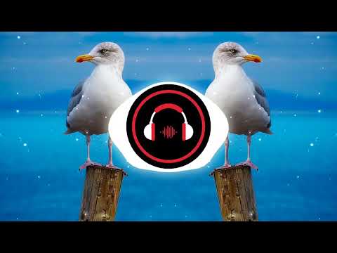 Cypis - Biała Mewa ('70S' RE-WORKED) thumbnail