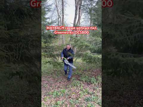 Майбах среди цепных пил - GREENWORKS OCS800 #aleksey_mercedes #greenworks #цепнаяпила #аккумулятор thumbnail