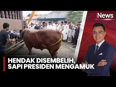 Ucok Sang Sapi Jumbo Prabowo Bikin Panik Petugas | iNews Terkini (27/5) thumbnail