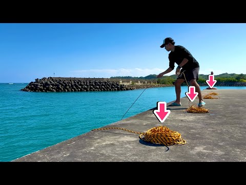 海に罠を仕掛けると…モンスターが！！ thumbnail