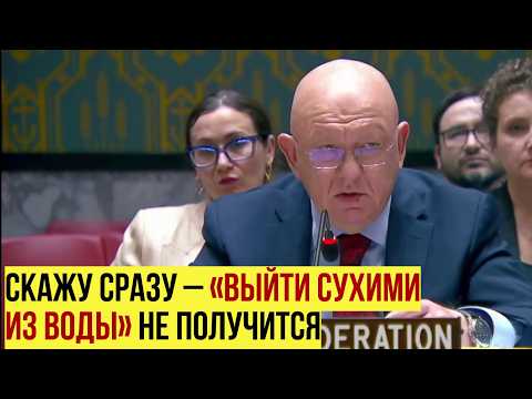 «Кровь детей Старобельска на ваших руках»: Небензя обвинил Запад в лицемерии на заседании СБ ООН thumbnail
