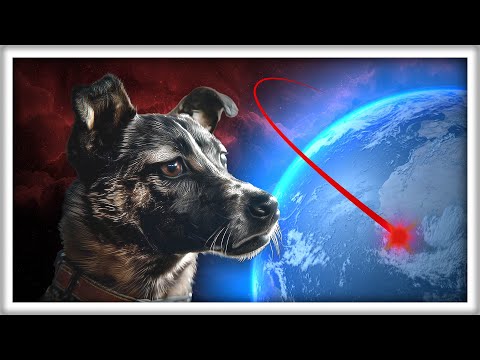 ¿Qué Pasó con la Perra Laika? thumbnail