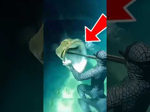 ANIMALES que dejaron a los humanos sin reacción thumbnail