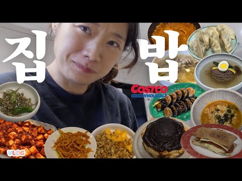 [VLOG] 코스트코에서 장 본 걸로 반찬 만들기. 기미상궁의 집밥. 핫한 아롱사태찜. 평양냉면 맛집. thumbnail