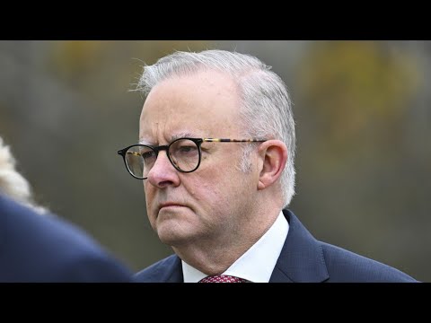 ‘Trying to justify their lies’: Aussies ‘waking up’ to Labor following budget backlash thumbnail