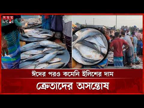 মুন্সীগঞ্জের মিরকাদিম আড়তে ইলিশের দাম আকাশছোঁয়া, ক্ষুব্ধ ক্রেতারা | Mirkadim Fish Market | Ilish thumbnail