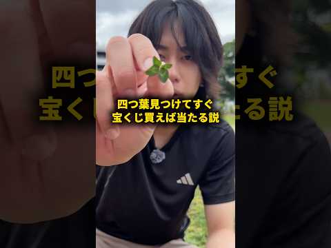 四つ葉のクローバー見つけてすぐ宝くじ買えば当たる説 #おーがすと #検証 thumbnail