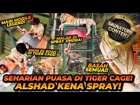 RAMADHAN 2026! SEHARIAN PUASA DI TIGER CAGE BONUS BANYAK UJIAN DAN COBAAN! MASYA ALLAH thumbnail