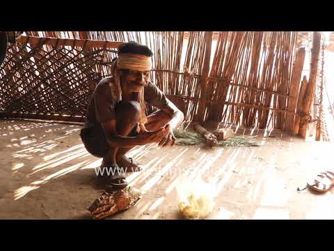 Traditional Tribal Village Life in Rural Maharashtra, India thumbnail