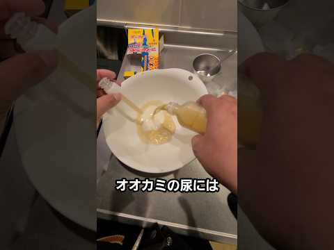 オオカミの尿で作る料理レシピ #ウルフピー thumbnail