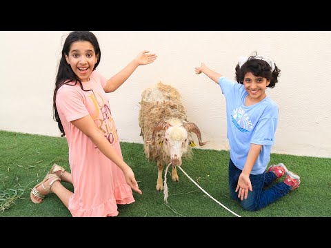 فاجات شفا والبنات بخروف العيد ! هربوا خافوا منه !😂 thumbnail