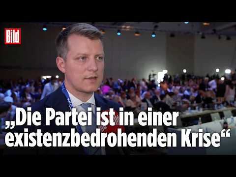 Alarm nach FDP-Parteitag: Höne sieht Partei in Existenzkrise thumbnail