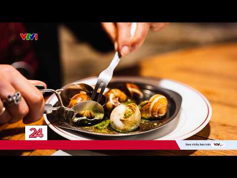 Ốc sên - Món ăn cao cấp ở châu Âu có gì đặc biệt? | VTV24 thumbnail