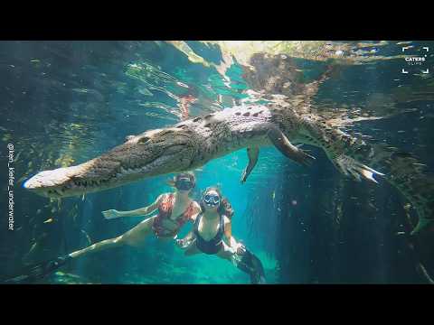 Crocodile Swims In Front Of Two Models During Photoshoot thumbnail