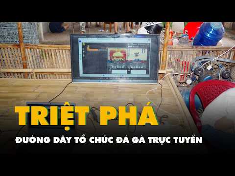 Phá đường dây tổ chức đá gà trực tuyến ở Tây Ninh, tổng cược hàng chục tỉ đồng thumbnail