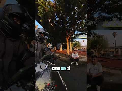chulean la moto en el semáforo ( sigan a _hassan_mx_) #motos #bikers #motovlog thumbnail