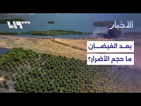 فيضان الفرات.. ما حجم الأضرار في الرقة وكيف تتحرك الجهات الحكومية؟ thumbnail
