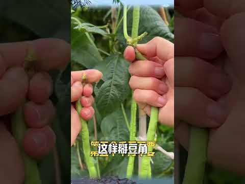 这些是哪个天才想出来的小妙招，实在是太厉害? #实用技巧 #百科知识 #科普 thumbnail