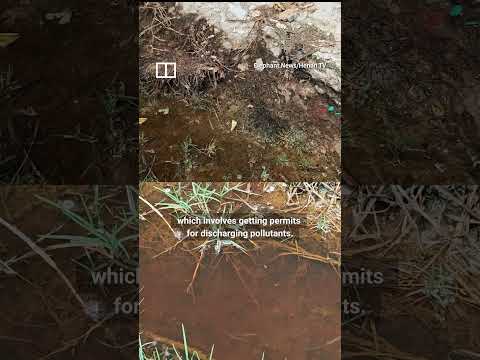Chinese authorities investigate ‘cancer village’ in Wuhan thumbnail