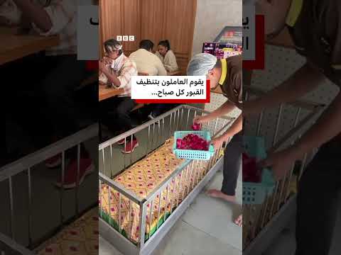 هل تفضل تناول طعامك وسط الموتى؟ thumbnail
