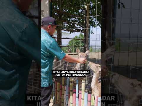 Pengalaman Dekat Taman Rusa thumbnail