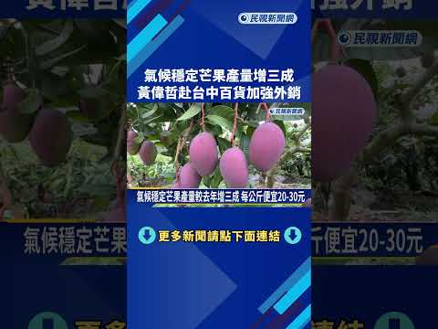 氣候穩定芒果產量暴增 黃偉哲赴台中加強外銷－民視新聞 thumbnail