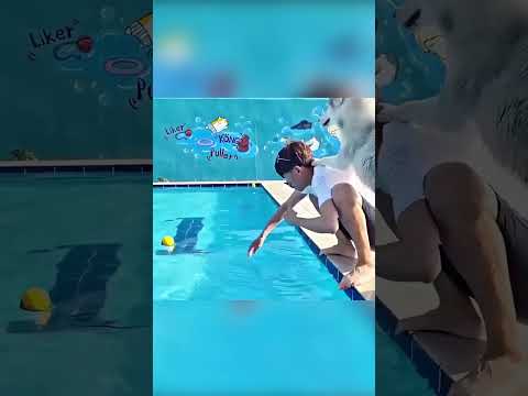 🐶🧠 الجرو الأذكى والأوفى على الإطلاق! ❤️🏊‍♂️✨👍 thumbnail