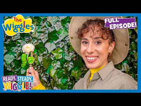 Evie’s Insect Adventure - Ready, Steady, Wiggle S8E20 🎶 The Wiggles thumbnail