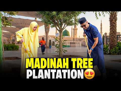 Madinah Main Humny Tree 🌴 Plantation Ki || Best Ever Madinah Trip 😍 thumbnail