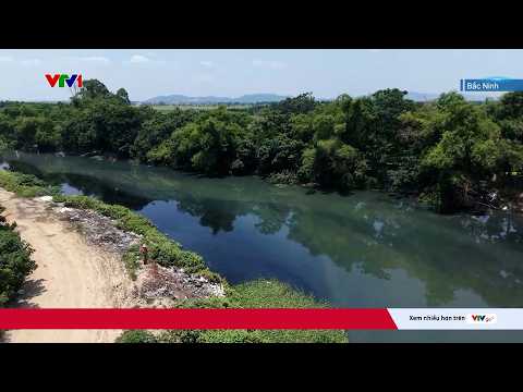 Nước đen, mùi hôi, bọt trắng xóa, người dân khổ vì kênh Kim Đôi (Bắc Ninh) bị ô nhiễm | VTV24 thumbnail