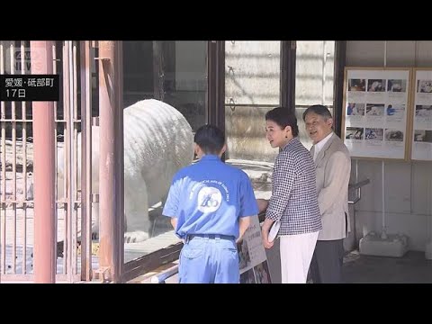 天皇皇后両陛下　県立とべ動物園を視察　ホッキョクグマとご対面　「名残惜しい」(2026年5月17日) thumbnail