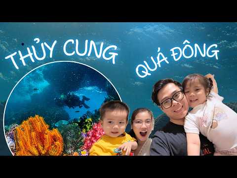 Khởi động tuần lễ nghỉ hè - Ngày 1: ĐI THỦY CUNG | LongLinhfamily #longlinhfamily thumbnail